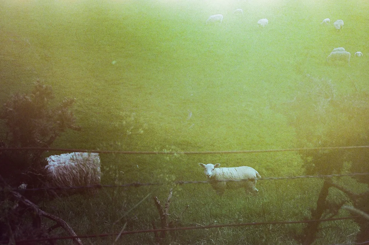 Scotland — photograph 5